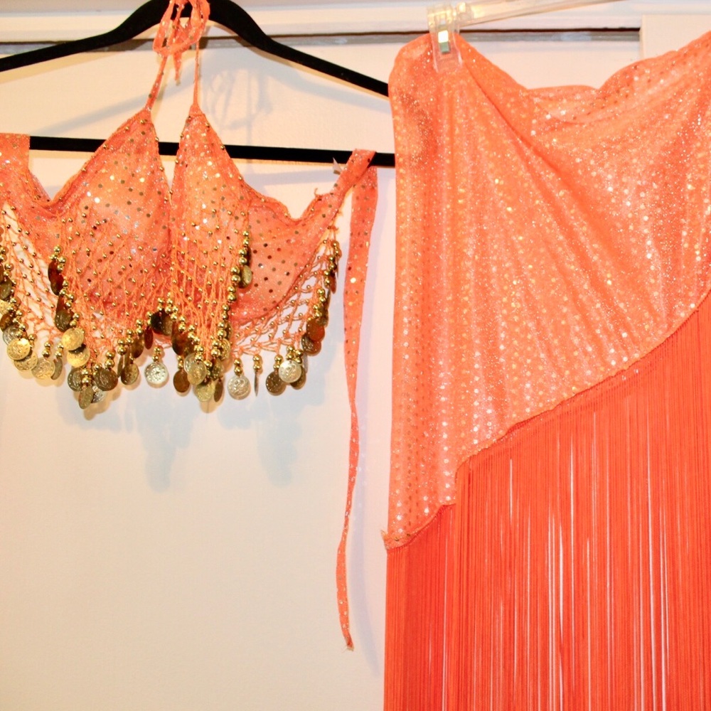 Belly dancer Halloween costume